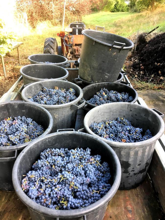 Le Clos D'Almide Monestier  エクステリア 写真